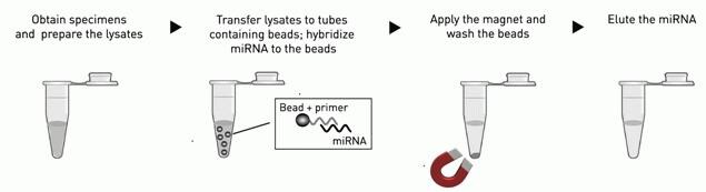 Workflow-figure-1-635 Workflow-figure-1-635
