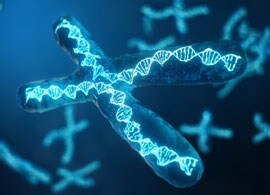 TaqMan-Genotyping-assay TaqMan-Genotyping-assay
