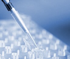sho-taqman-assays-ge 基因表达检测试剂盒