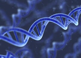 DNA-accurate copy DNA-accurate copy