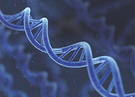 DNA Strand Showcase DNA Strand Showcase