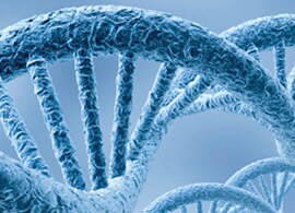 TaqManNon-CodingRNAAssays-Showcase TaqManNon-CodingRNAAssays-Showcase