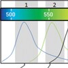 Duplexing TaqMan SNP Genotyping Assays Duplexing TaqMan SNP Genotyping Assays