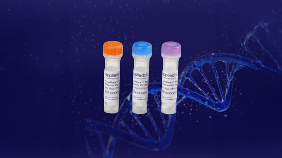 Positive controls for TaqMan SNP genotyping experiments Three products tubes containing TaqMan SNP genotyping positive controls