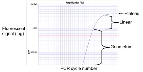 Amplification plot Amplification plot