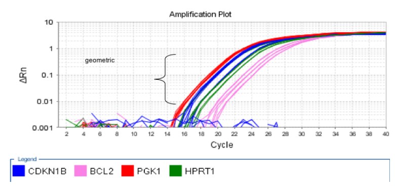 TaqMan-Gene-Expression-Assays TaqMan-Gene-Expression-Assays