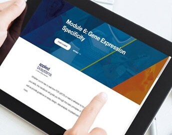 handbook-thumbnail-v2 handbook-thumbnail-v2