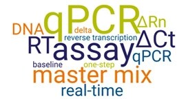 Understanding real-time PCR terminology Understanding real-time PCR terminology