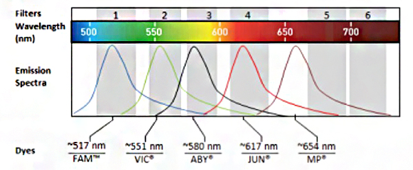 Fluorescence-emission-spectra Fluorescence-emission-spectra