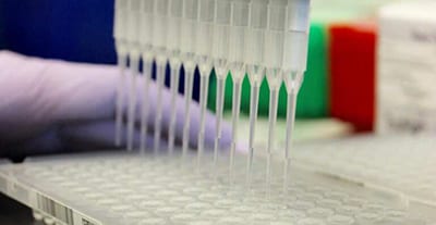 IMG_1240-e1488912868601-768x835 IMG_1240-e1488912868601-768x835