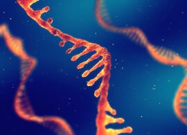miRNA-and-non-coding-RNA-analysis miRNA-and-non-coding-RNA-analysis