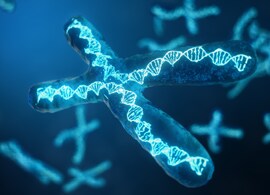 Genetic-variation-analysis Genetic-variation-analysis