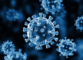 GettyImages-1216476288-(1) GettyImages-1216476288-(1)