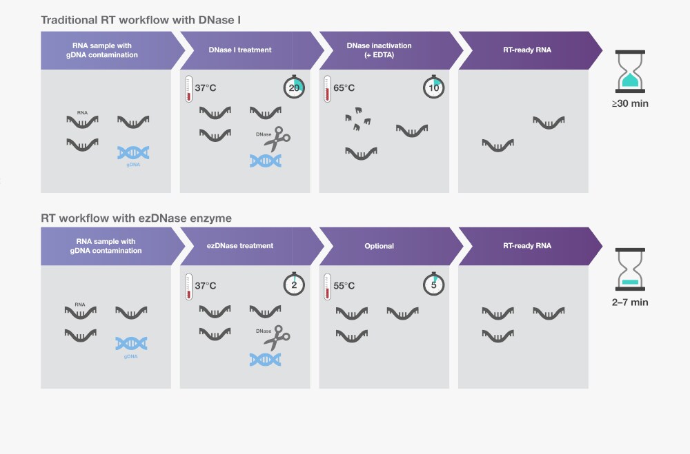 gDNA 去除程序 gDNA 去除程序