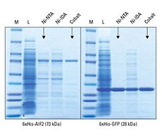 His-tagged Proteins – Production and Purification His-tagged Proteins – Production and Purification
