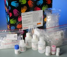 用于免疫沉淀 (IP) 的微珠状琼脂糖树脂和试剂盒 用于免疫沉淀 (IP) 的微珠状琼脂糖树脂和试剂盒