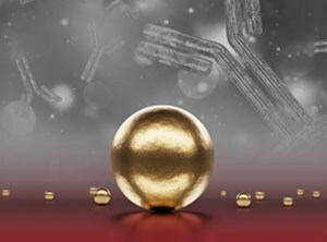 免疫沉淀磁珠 免疫沉淀磁珠