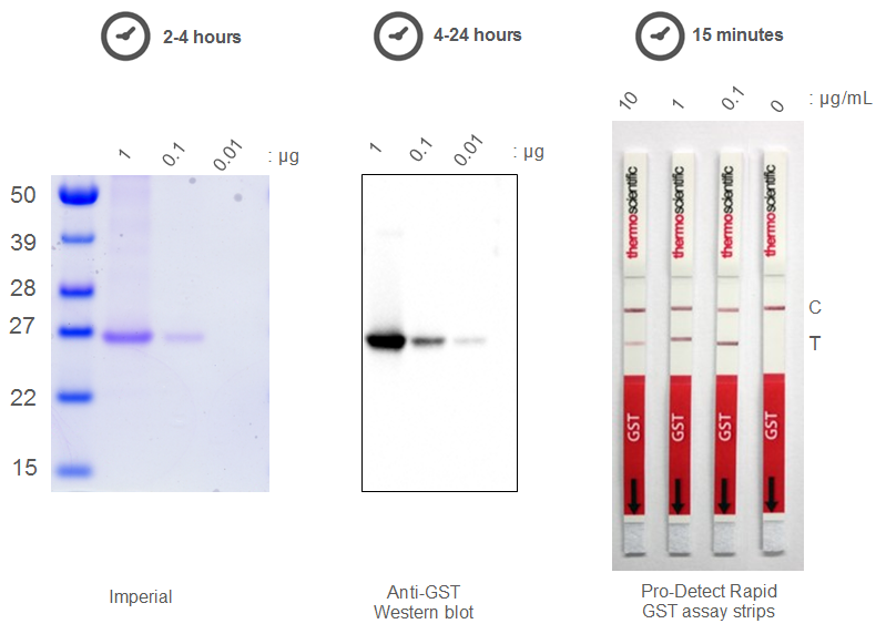 Pro-Detect快检试纸 | Thermo Fisher Scientific - CN