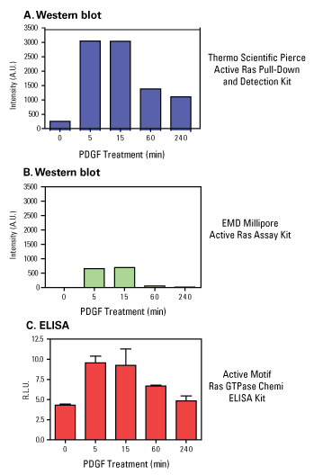 16117-004-Ras-Pull-Down-349px-1 16117-004-Ras-Pull-Down-349px-1