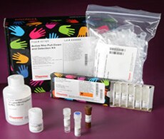 活性 GTP 酶的沉降检测 活性 GTP 酶的沉降检测