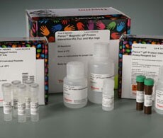 82036-qIP-Magnetic-Myc-Kit-230 82036-qIP-Magnetic-Myc-Kit-230