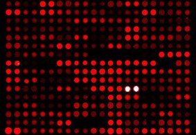 Protein microarrays Protein microarrays