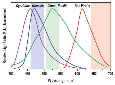 Biolum-all-spectra-filters Biolum-all-spectra-filters