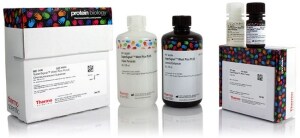 SuperSignal West 底物套装试剂盒 SuperSignal West 底物套装试剂盒