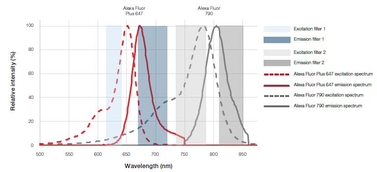 具有不同发射光谱的荧光基团的多重实验示例 具有不同发射光谱的荧光基团的多重实验示例
