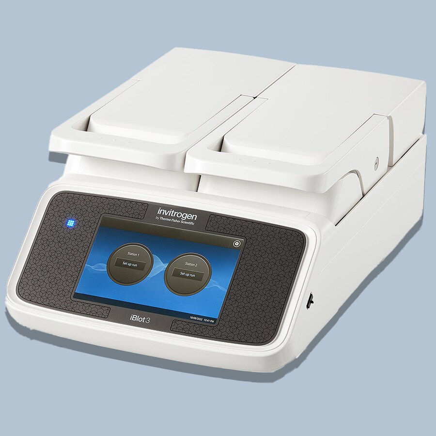 iBlot 3 Western Blot Transfer System Decorative Image