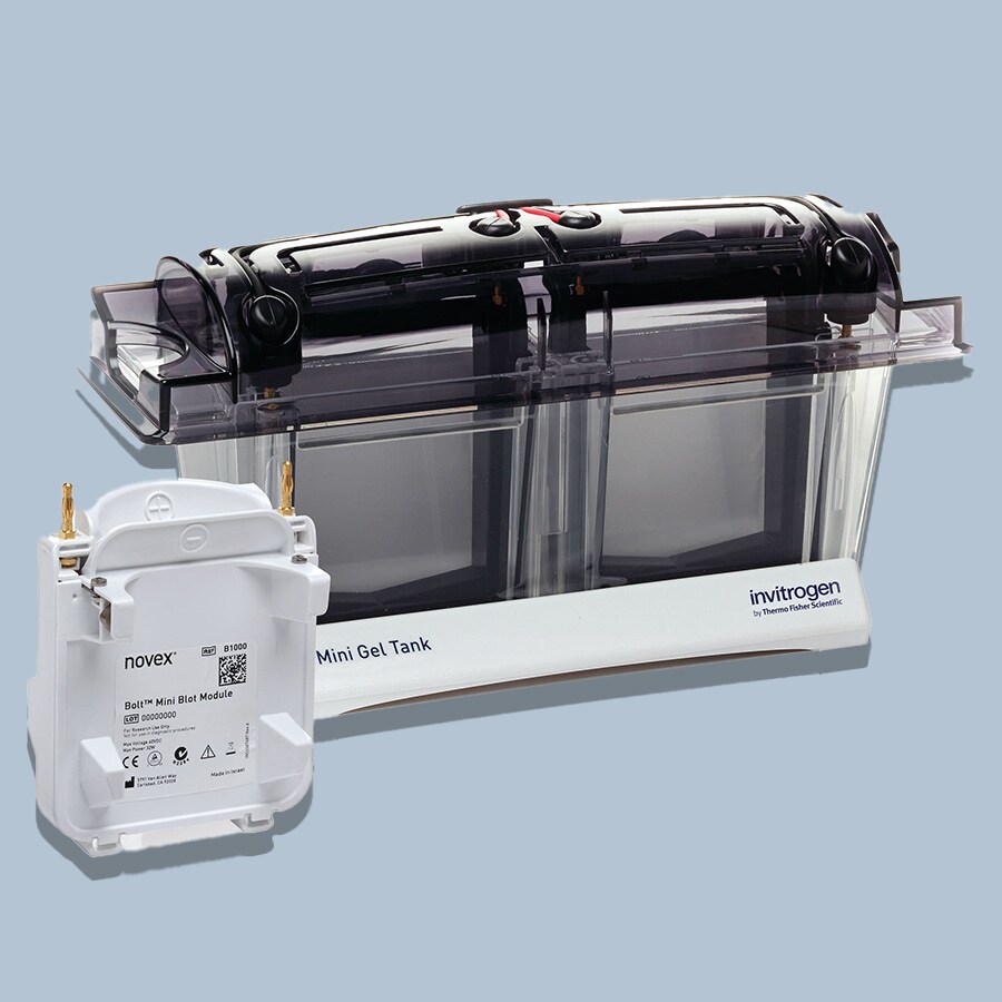 Mini Blot Module Decorative Image