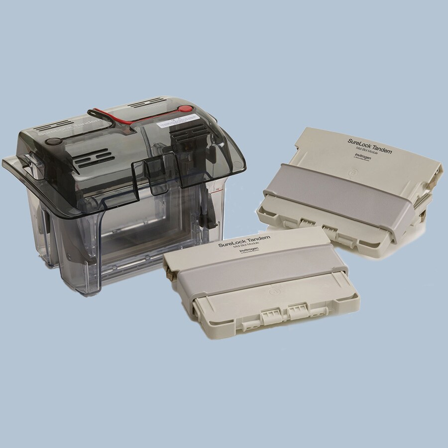 SureLock Tandem Midi Blot Module Decorative Image