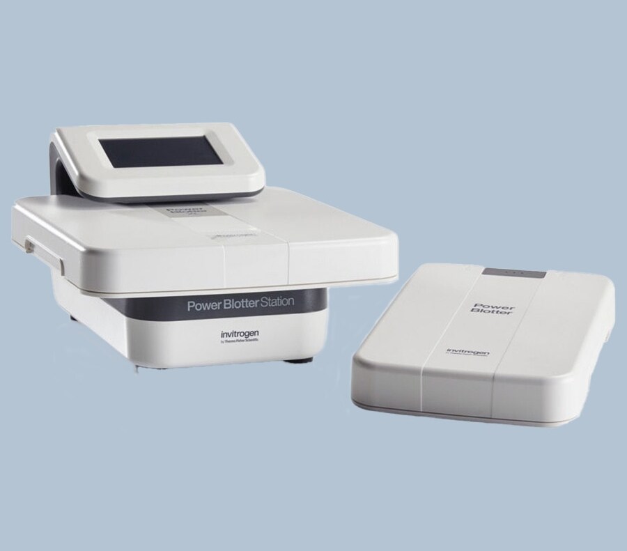 Power Blotter System Decorative Image