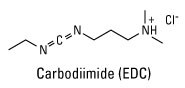Carbodiimide (EDC) chemical structure of EDC