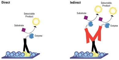 Schematic of direct and indirect detection methods. Schematic of direct and indirect detection methods.