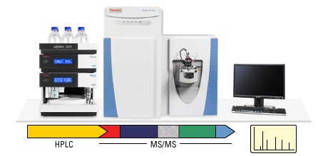 LC-MS/MS 系统示例。 LC-MS/MS 系统示例。