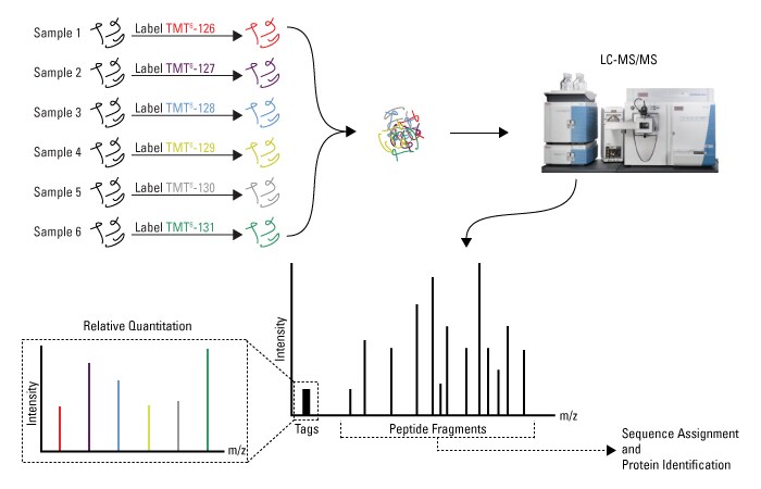 Isobaric Workflow TMT-700px Isobaric Workflow TMT-700px