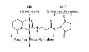 TMT structure-300px TMT structure-300px