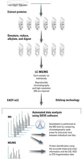 Label-free Workflow_4-6-11 Label-free Workflow_4-6-11