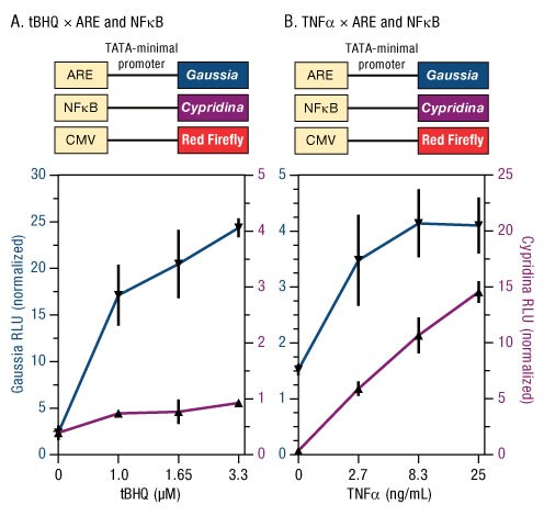 A13n03-Fig4 A13n03-Fig4