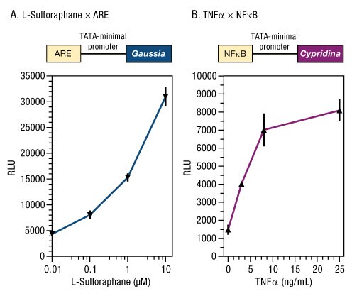A13n03-Fig3 A13n03-Fig3