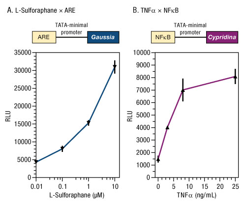 A13n03-Fig3 A13n03-Fig3