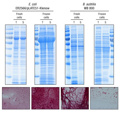 A14n08-Fig1 A14n08-Fig1