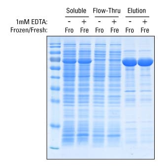 A14n08-Fig4 A14n08-Fig4
