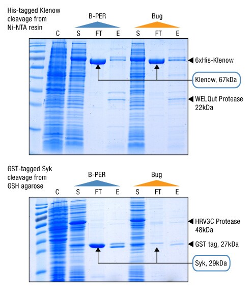 A14n08-Fig6 A14n08-Fig6