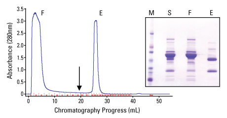 A12n06-Fig4 A12n06-Fig4
