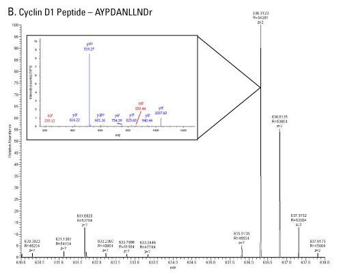 A12n12-Fig4b A12n12-Fig4b