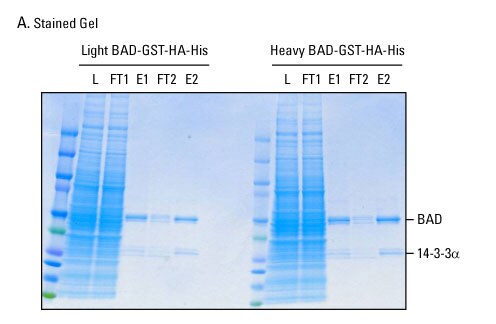 A12n12-Fig5a A12n12-Fig5a
