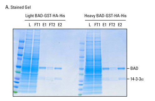 A12n12-Fig5a A12n12-Fig5a