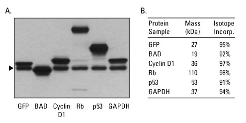 A12n12-Fig3 A12n12-Fig3